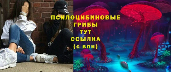 прущие грибы Снежинск