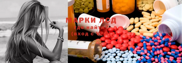прущие грибы Снежинск