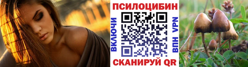 где купить наркоту даркнет состав Псилоцибиновые грибы Psilocybine cubensis Буй